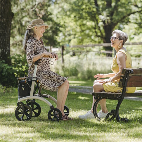 Περιπατητήρας Αλουμινίου Allround Rollator Saljol