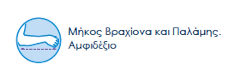 Φάκελος Ανάρτησης Prim 0802685 Mobiak