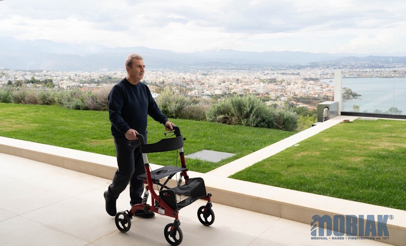Περιπατητήρας Τροχήλατος “RUBY” 0805499