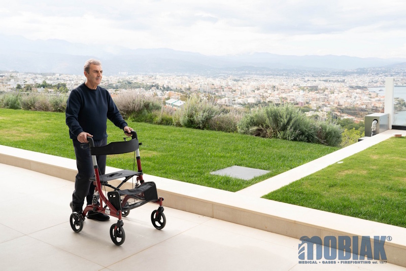 Περιπατητήρας Τροχήλατος “RUBY” 0805499