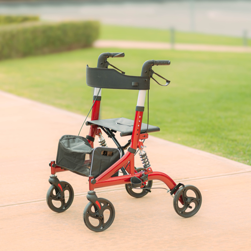 Περιπατητήρας Τροχήλατος “RUBY” 0805499