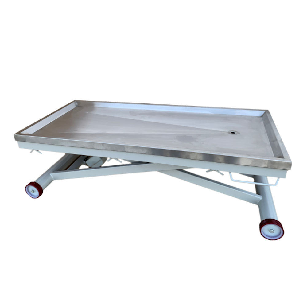 Κτηνιατρική τράπεζα με ηλεκτροκίνητη ανύψωση