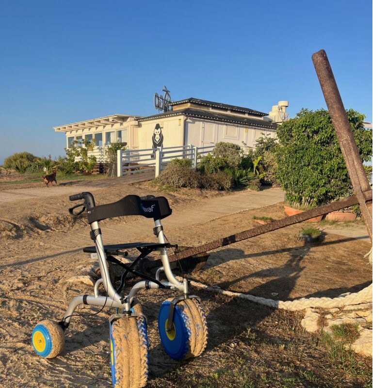 Rollator Παραλίας WALKER CITY BEACH CITY-BCH-ES